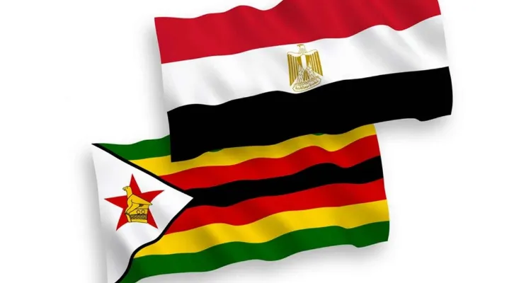 مفاجأة سارة للجماهير.. قناة عربية مجانية تنقل مباراة مصر وزيمبابوي اليوم