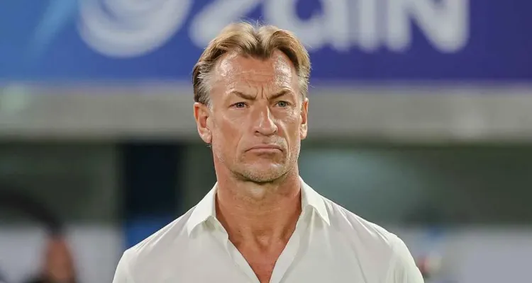 حقيقة مفاوضات الأهلي مع رينارد لتدريب الفريق