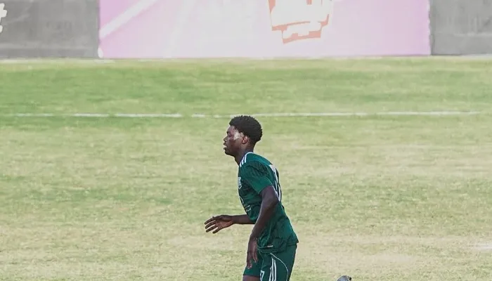 خاص.. زد يوضح موقفه من بيع ماتا ماجاسا إلى الأهلي في الصيف لتعويض ديانج