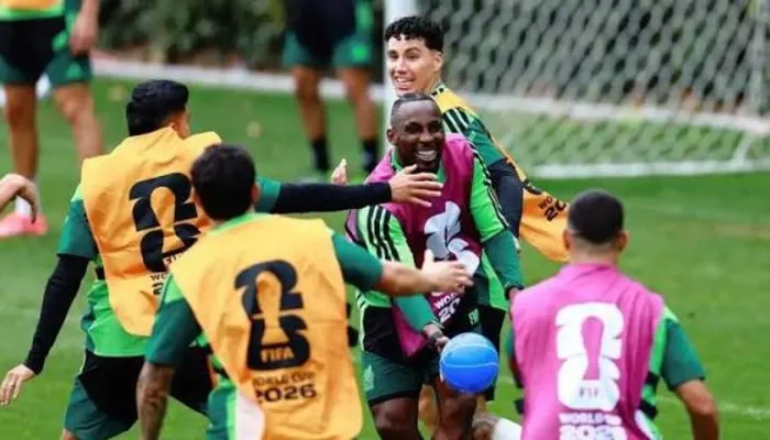 مدرب الأهلي السابق يقود منتخب جنوب إفريقيا.. رسميًا