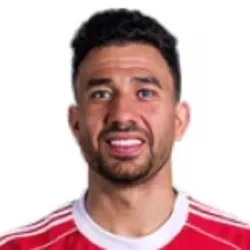 صوره عن تريزيجيه