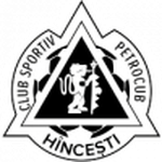 رابيد غيديغيتش (2)